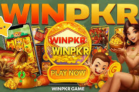 WinPKR Problems Solutions Pakistan 2026